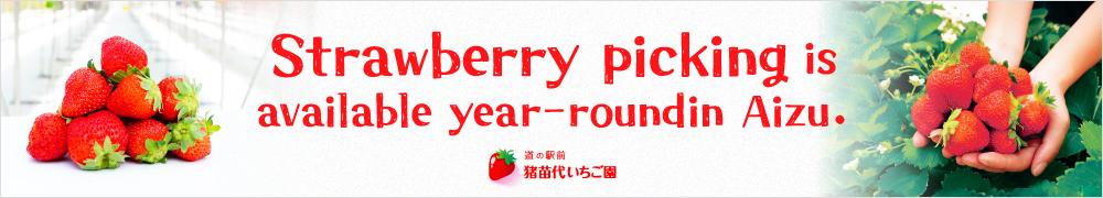 Michi-no-Eki-Mae Inawashiro Strawberry Farm